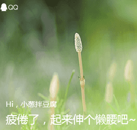 QQ图片20200824155318.png